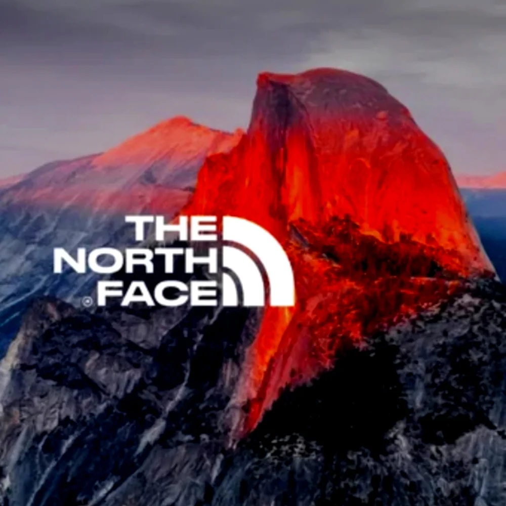 THE NORTH FACE - Picture 1 of 6
